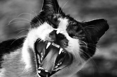 Anger Resolution Strategies