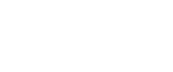 Advise,Train, Guide (ATG LLC)